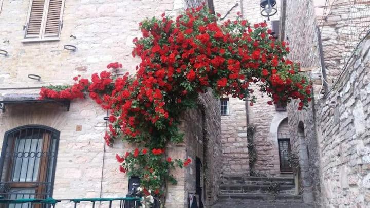 Casetta Delle Rose Assisi Exterior photo