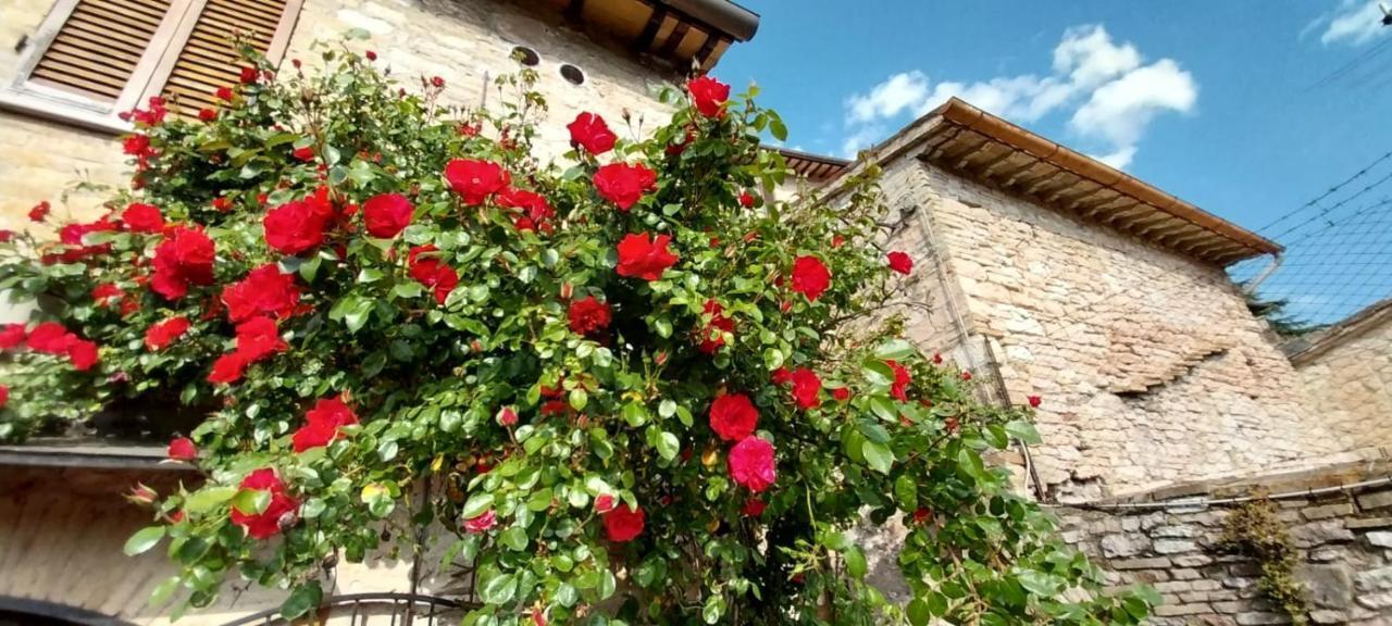 Casetta Delle Rose Assisi Exterior photo